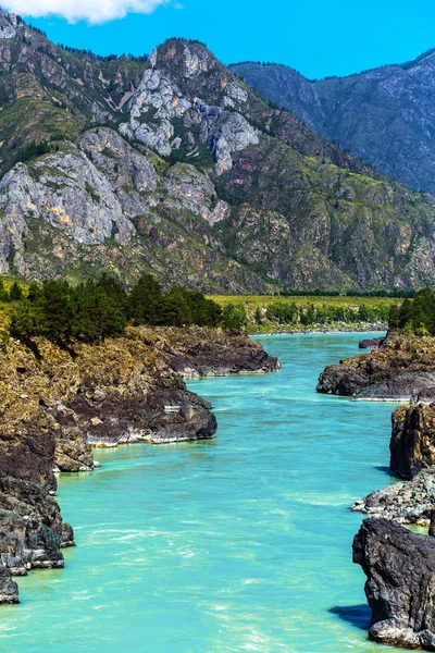 Hızlı katun nehri. Gorny Altay, Sibirya, Rusya Federasyonu