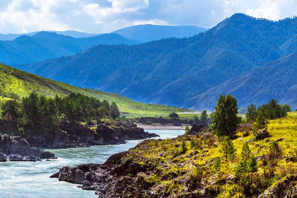 Hızlı katun nehri. Gorny Altay, Sibirya, Rusya Federasyonu
