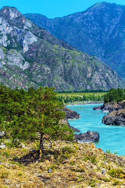 Hızlı katun nehri. Gorny Altay, Sibirya, Rusya Federasyonu