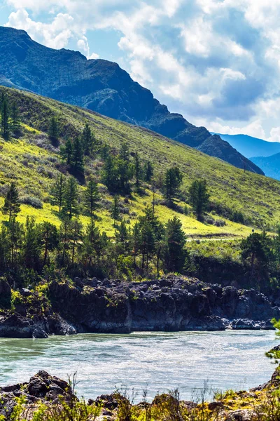 Rio Katun com corredeiras. Gorny Altai, Sibéria, Rússia — Fotografia de Stock