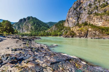 Dağlar ve nehir ile manzara. Gorny Altay, Sibirya, Rusya Federasyonu
