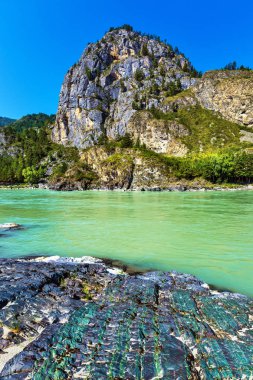 Katun Nehri'nde renkli taşlar. Gorny Altay, Sibirya, Rusya Federasyonu