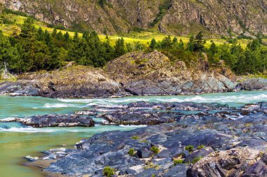 Katun Nehri'nde renkli taşlar. Gorny Altay, Sibirya, Rusya Federasyonu