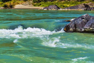 Elandinskaya Katun nehri üzerinde rapids. Gorny Altay, Sibirya