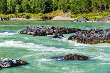 Elandinskaya Katun nehri üzerinde rapids. Gorny Altay, Sibirya