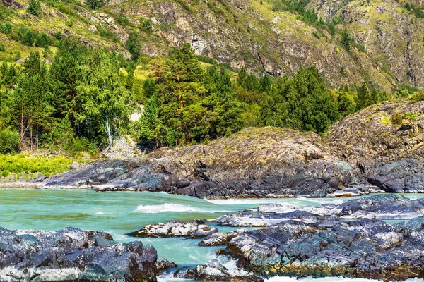 Elandinskaya Katun nehri üzerinde rapids. Gorny Altay, Sibirya