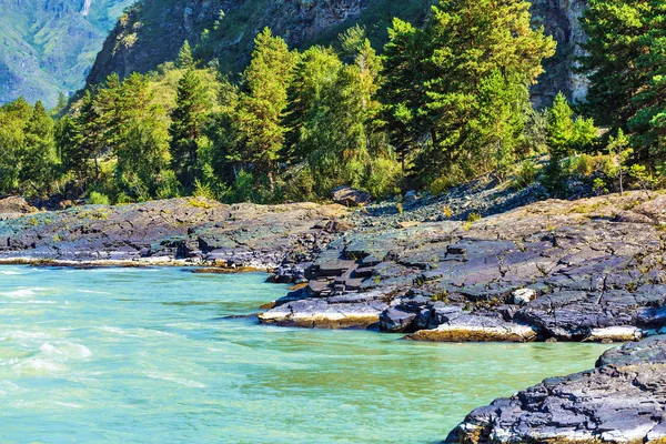 Dağlar ve nehir ile manzara. Gorny Altay, Sibirya, Rusya Federasyonu
