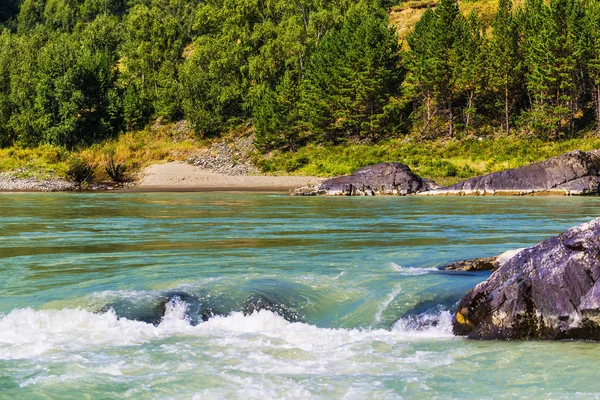 Elandinskaya a zuhatag a folyón Katun. Gorny Altaj, Szibéria — Stock Fotó