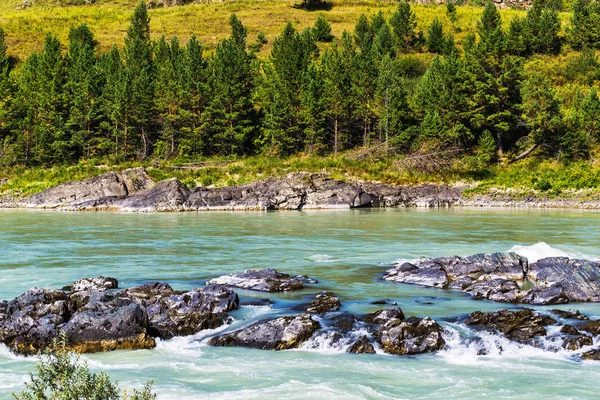 Elandinskaya a zuhatag a folyón Katun. Gorny Altaj, Szibéria — Stock Fotó