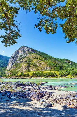 Dağlar ve nehir ile manzara. Gorny Altay, Sibirya, Rusya Federasyonu