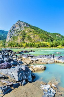 Katun Nehri'nde renkli taşlar. Gorny Altay, Sibirya, Rusya Federasyonu
