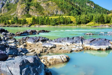 Katun Nehri'nde renkli taşlar. Gorny Altay, Sibirya, Rusya Federasyonu