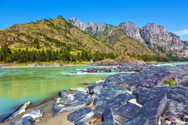 Katun Nehri'nde renkli taşlar. Gorny Altay, Sibirya, Rusya Federasyonu