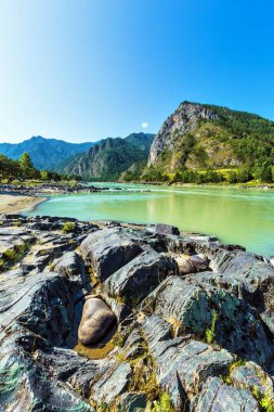 Katun Nehri'nde renkli taşlar. Gorny Altay, Sibirya, Rusya Federasyonu