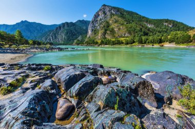 Katun Nehri'nde renkli taşlar. Gorny Altay, Sibirya, Rusya Federasyonu