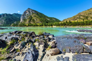 Katun Nehri'nde renkli taşlar. Gorny Altay, Sibirya, Rusya Federasyonu