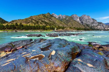 Katun Nehri'nde renkli taşlar. Gorny Altay, Sibirya, Rusya Federasyonu
