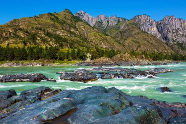 Katun Nehri'nde renkli taşlar. Gorny Altay, Sibirya, Rusya Federasyonu