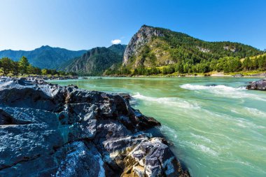 Elandinskaya Katun nehri üzerinde rapids. Gorny Altay, Sibirya