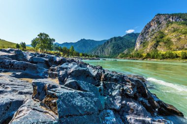 Katun Nehri'nde renkli taşlar. Gorny Altay, Sibirya, Rusya Federasyonu
