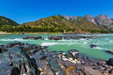 Elandinskaya Katun nehri üzerinde rapids. Gorny Altay, Sibirya