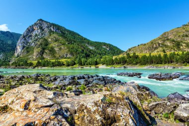 Katun Nehri'nde renkli taşlar. Gorny Altay, Sibirya, Rusya Federasyonu