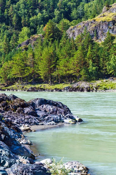 Tájkép hegyekkel és folyóval. Gorny Altai, Szibéria, Oroszország — Stock Fotó