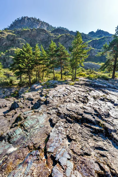 Цветные камни у реки Катун. Горный Алтай, Сибирь, Россия — стоковое фото