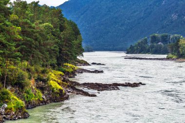 Katun Nehri. Chemal, Gorny Altay, Sibirya, Rusya Federasyonu