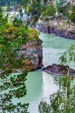 Katun Nehri. Chemal, Gorny Altay, Sibirya, Rusya Federasyonu