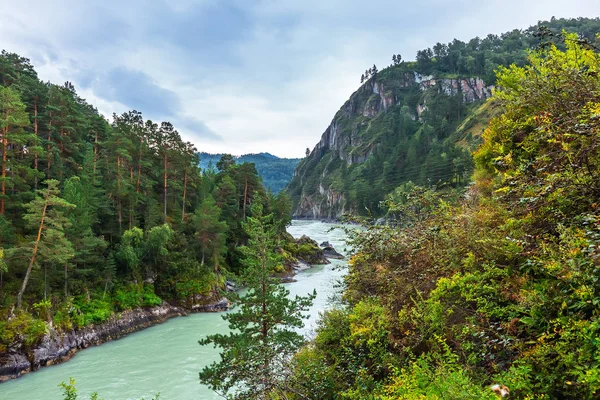 Katun Nehri. Chemal, Gorny Altay, Sibirya, Rusya Federasyonu