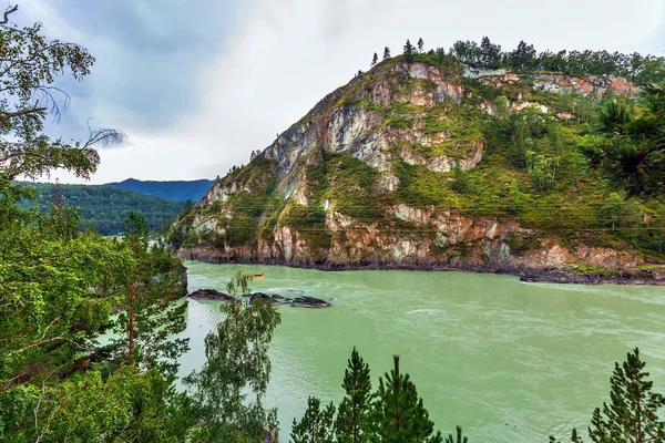 Katun Nehri. Chemal, Gorny Altay, Sibirya, Rusya Federasyonu