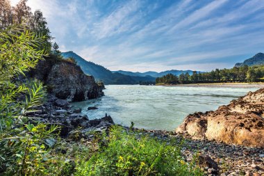 Katun Nehri ile yaz manzarası. Chemal, Gorny Altay, Sibirya,
