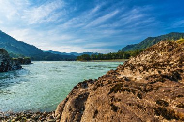 Katun Nehri ile yaz manzarası. Chemal, Gorny Altay, Sibirya,