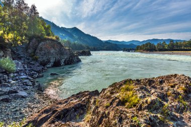 Katun Nehri ile yaz manzarası. Chemal, Gorny Altay, Sibirya,