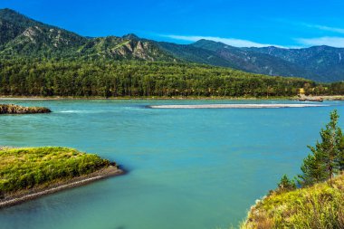 Katun Nehri ile yaz manzarası. Chemal, Gorny Altay, Sibirya,