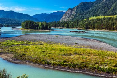 Katun Nehri ile yaz manzarası. Chemal, Gorny Altay, Sibirya,