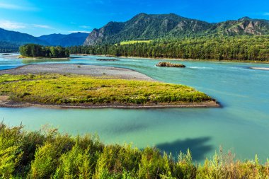 Katun Nehri ile yaz manzarası. Chemal, Gorny Altay, Sibirya,