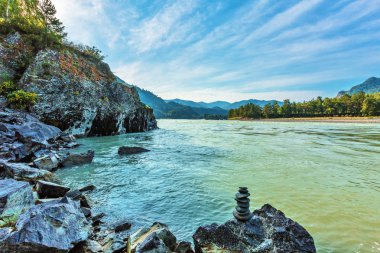 Katun Nehri ile yaz manzarası. Chemal, Gorny Altay, Sibirya,