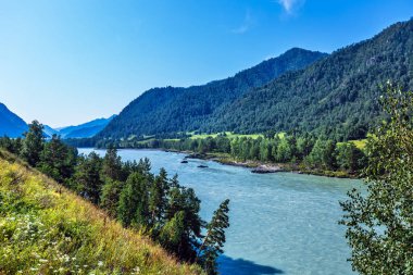 Katun Nehri ile yaz manzarası. Chemal, Gorny Altay, Sibirya,
