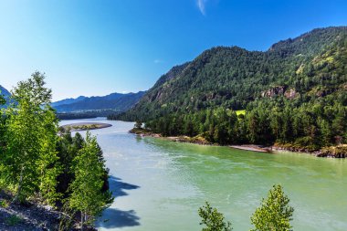 Katun Nehri ile yaz manzarası. Chemal, Gorny Altay, Sibirya,