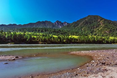 Katun Nehri ile yaz manzarası. Chemal, Gorny Altay, Sibirya,