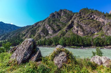 Katun Nehri ile yaz manzarası. Chemal, Gorny Altay, Sibirya,
