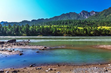 Katun Nehri ile yaz manzarası. Chemal, Gorny Altay, Sibirya,
