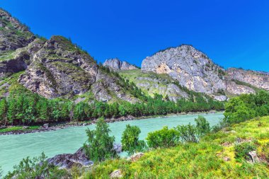 Katun Nehri ile yaz manzarası. Chemal, Gorny Altay, Sibirya,