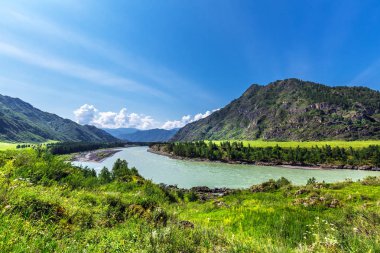 Katun Nehri ile yaz manzarası. Chemal, Gorny Altay, Sibirya,