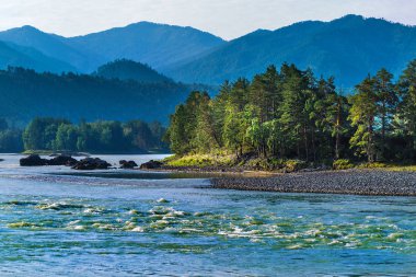 Katun Nehri ile yaz manzarası. Chemal, Gorny Altay, Sibirya,