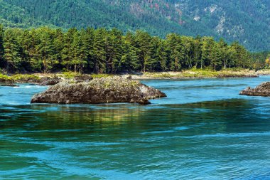 Katun Nehri ile yaz manzarası. Chemal, Gorny Altay, Sibirya,