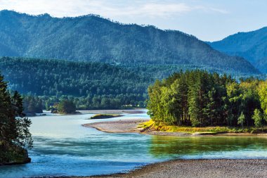 Katun Nehri ile yaz manzarası. Chemal, Gorny Altay, Sibirya,