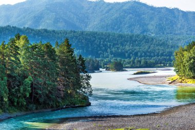 Katun Nehri ile yaz manzarası. Chemal, Gorny Altay, Sibirya,